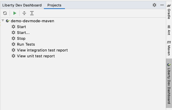 Liberty Dev Dashboard in IntelliJ IDEA