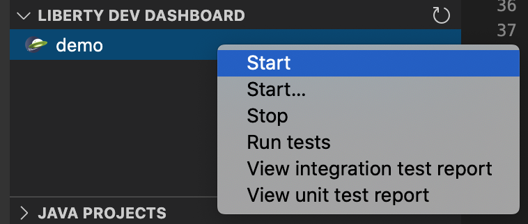 Liberty Dev Dashboard in VS Code