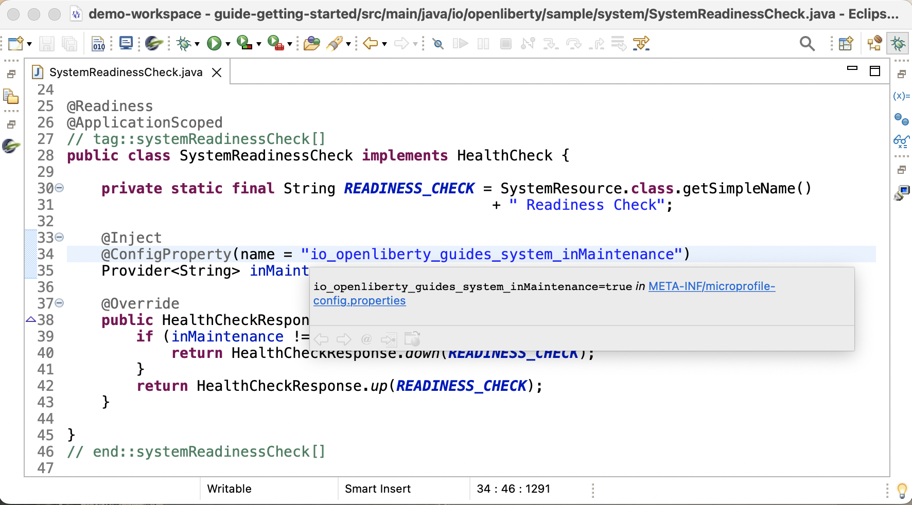 MicroProfile config property hover